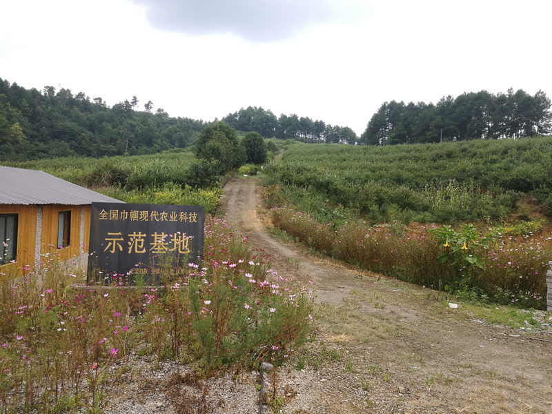 周边生态环境