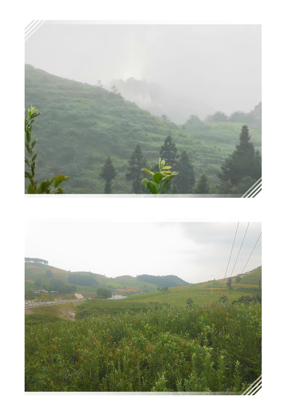 微信图片_20210815220819 (1).png