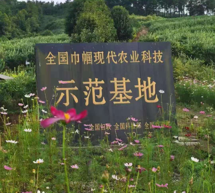 示范基地
