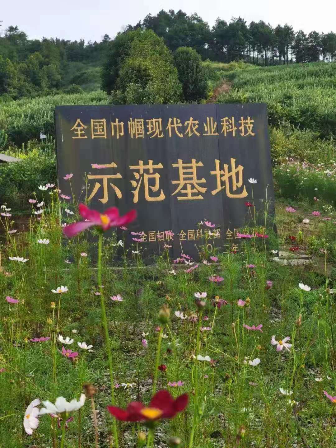 1629988990212792.jpg